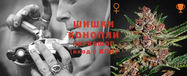 соль ск Ельня