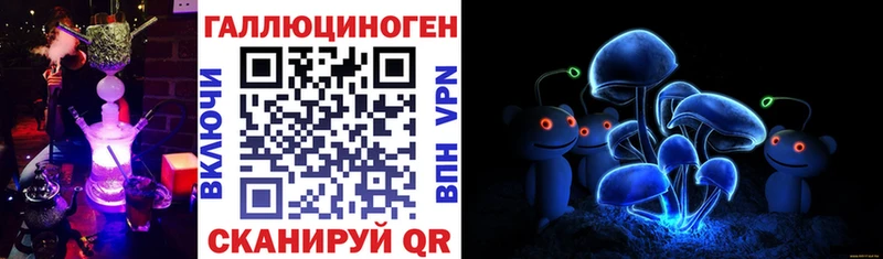 Псилоцибиновые грибы Psilocybe купить Трёхгорный